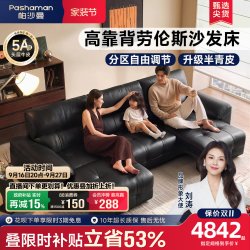 帕沙曼 劳伦斯电动沙发床多功能客厅大平层半青皮具高靠背