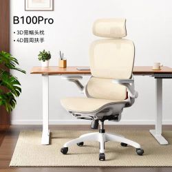 西昊 B100Pro人体工学椅子电脑椅家用办公椅电竞椅