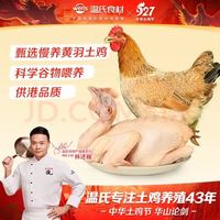 温氏 天露三黄鸡 800g