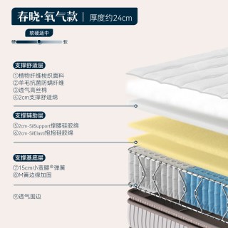 LYNPON HOUSEWARE 林芃春晓席梦思床垫弹簧家用24cm厚袋装0胶水家庭用官方旗舰店