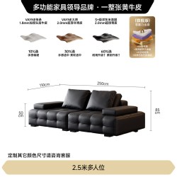 FA SA DI HOUSEHOLD 政府补贴法莎蒂劳伦斯意式极简全真皮沙发客厅轻奢现代别墅大户型