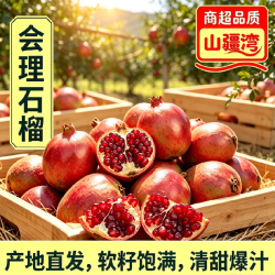 山疆湾 产地直发会理软籽石榴净重4.8斤现摘现发爆汁石榴突尼斯