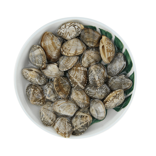 品质永辉 花蛤 500g