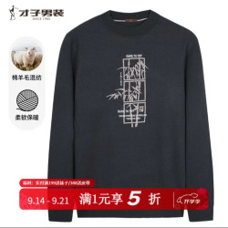 才子 男士绵羊毛混纺针织衫 多色可选