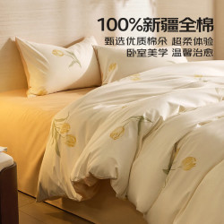 LOVO 罗莱生活 100%新疆棉亲肤四件套1.5m 床单款 （被套200*230cm）
