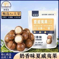 关佰玉 大颗粒500g夏威夷果奶香味坚果炒货干果休闲零食