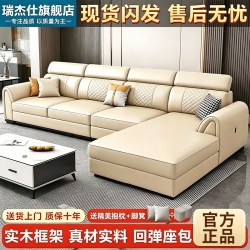 瑞杰仕 新款北欧沙发猫爪皮沙发小户型现代简约实木免洗客厅皮艺贵妃组合