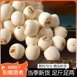 荷忆 正宗湖南新莲子干货去芯磨皮白莲子新鲜颗粒严选香甜饱满精选