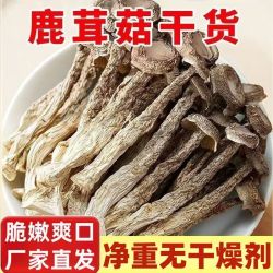 鹿茸菇干货农家鹿茸菌古田鹿茸菇高山脆脆菇煲汤食材新鲜爽脆