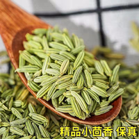 正宗甘肃小茴香川菜火锅调料炖肉烧烤撒料香料调料无硫生活