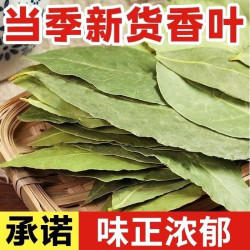正品香叶桂皮八角调味品农家超值卤料煲汤提香料香味营养烹饪浓郁