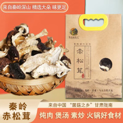 甘肃秦岭赤松茸干货煲汤炒菜食材农家精选装100克*1袋/100克*2袋