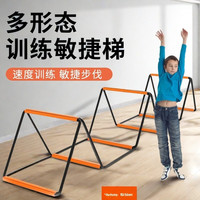 武行彬 敏捷绳梯体能训练器材儿童跳格子软梯绳梯室内足球篮球步伐训练梯