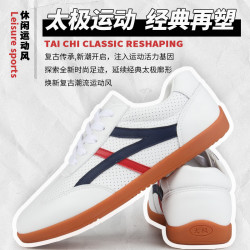 红棉 练功鞋牛筋软底运动网面功夫鞋比赛鞋透气白色站桩夏季防滑