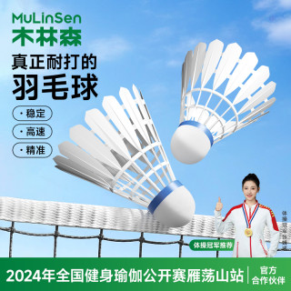 木林森 尼龙羽毛球耐打稳定专业训练羽毛球室内外比赛通用pu头用球