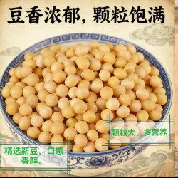 黄豆250g新货东北农家自种大豆发豆芽五谷杂粮煲汤营养早餐打豆浆