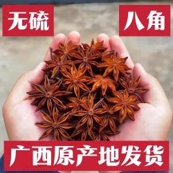 正宗广西八角大料新货无硫磺家庭常用五香调料