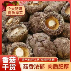 深山特产香菇冬菇农家自产干货纯干香菇135克两包（无干燥剂）