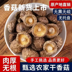 壹齐食 香菇干货新货蘑菇干香菇干食材食用菌菇易泡发干货