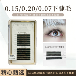 下睫毛 扁毛和山茶花混装6.7