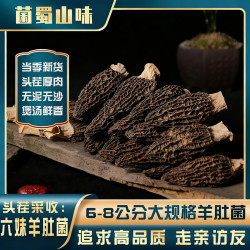 当季头茬六妹 6～8公分大个肉厚羊肚菌煲汤鲜酿肉酿虾滑 送人送礼