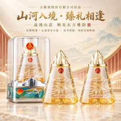 臻品陈 五粮液股份出品52度浓香型纯粮食白酒礼盒装送礼500ml*2瓶高粱