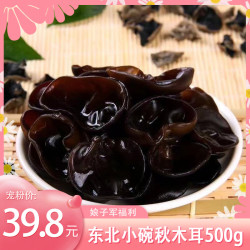 东北特产小碗秋木耳桦木生长肉厚无根无砂口感佳