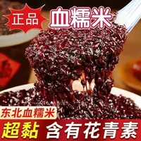 新磨正宗东北糯新米黑糯米紫糯米非染色五谷杂粮