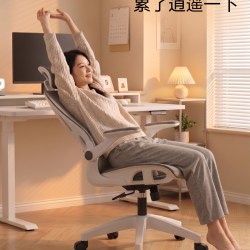 SAMEDREAM 三梦电脑椅人体工学椅子护腰家用办公椅久坐舒适电竞椅靠背椅座椅