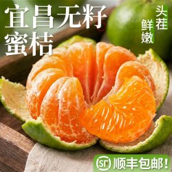 顾一 正宗宜昌无籽青皮桔子无籽蜜桔新鲜现摘橘子当季应季水果整箱包邮