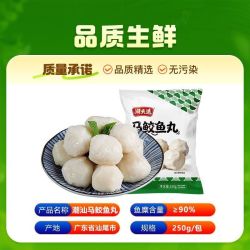 潮夫道 马鲛鱼丸250g肉含量90%潮汕特产新鲜实心鱼丸食材烧烤鱼蛋 2斤