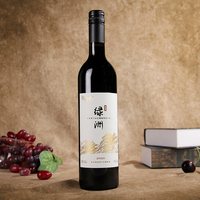 Castaly 凯仕丽绿洲干型葡萄酒2瓶礼盒装