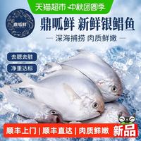 88VIP：鼎呱鲜 鲜活银鲳鱼 深海新鲜冷冻款 500g*3袋