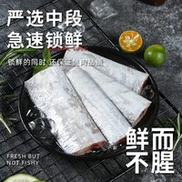 鼎呱鲜 东海海捕带鱼实心中段 冷冻鱼类