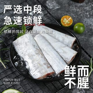 88VIP：鼎呱鲜 精品东海海捕带鱼实心中段带鱼冷冻刀鱼东海深带鱼500g*3袋
