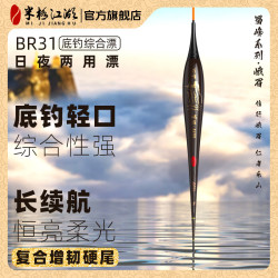 米极江湖 BR31夜光漂新品升级款增韧硬尾浮漂日夜两用电子漂高灵敏鱼漂夜钓 栗子褐 2号吃铅1.35g自重1.24g