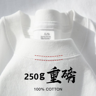 ENYIN 100纯棉250g重磅深灰色纯棉短袖t恤纯色大码半袖男女上衣 白色 3XL (185-220斤-宽松版型)