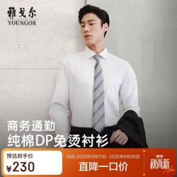 雅戈尔 秋冬商务休闲高级纯棉长袖衬衫抗皱易打理男衬衣 12135