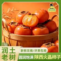 百亿补贴：胡鲜森 陕西火晶柿子糖心软柿子爆浆流心新鲜水果当季50g起