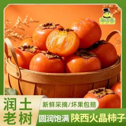 胡鲜森 陕西火晶柿子糖心软柿子爆浆流心新鲜水果当季65g起