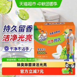 威猛先生 自动冲洗洁厕块 清香
