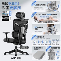 颐熙 人体工学椅家用电脑坐椅舒适久坐护腰可躺平办公两用椅透气电竞椅