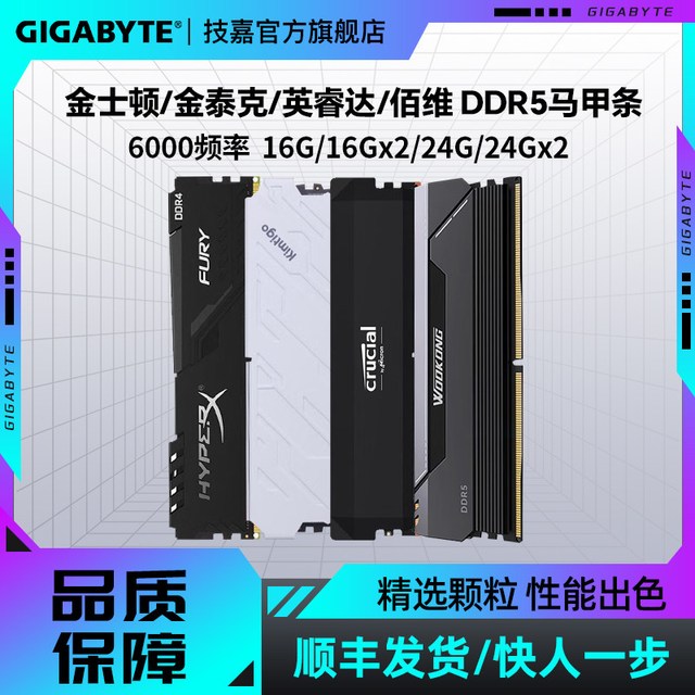 技嘉 政府补贴】金泰克/金士顿/佰维 DDR5内存条16G/24G/32G套条灯条
