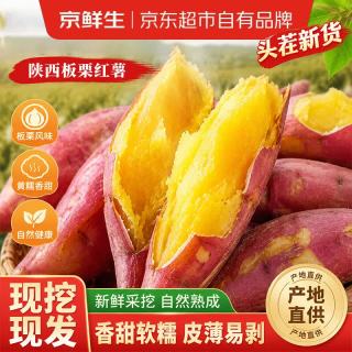 京鲜生 陕西临潼板栗红薯 净重4.5斤 单果100g+小果 新鲜蔬菜 源头直发