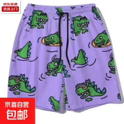 短裤男夏季新款篮球运动冰丝速干五分沙滩裤子 D86恐龙 XL 