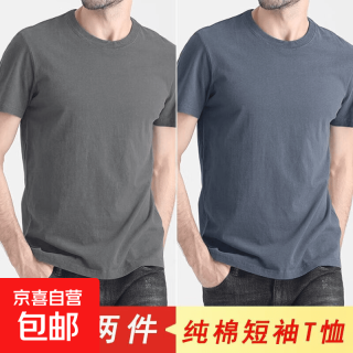 210g纯棉短袖t恤男士圆领修身纯色百搭夏季潮流中青年内搭打底衫 炭灰+雾蓝 L  建议100-120斤