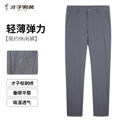 才子 休闲裤男纯色轻薄弹力24夏季垂顺爽滑面料透气百搭长裤子商务 灰色   33/84cm