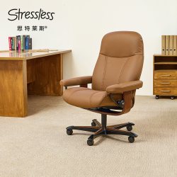 STRESSLESS 思特莱斯挪威进口办公椅领事电脑椅真皮可躺