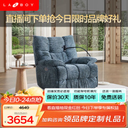 乐至宝 懒人沙发电动手机支架按摩功能单椅北极星加州蓝