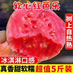 妙果森 顺丰包邮漳红心软芭乐冰淇淋口感5斤胭脂红番石榴新鲜水果包邮